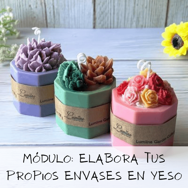 MÓDULO ELABORA TUS PROPIOS MOLDES (1) (1)