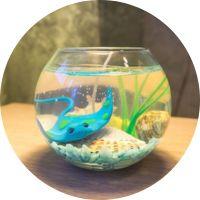 Untitled design (17)